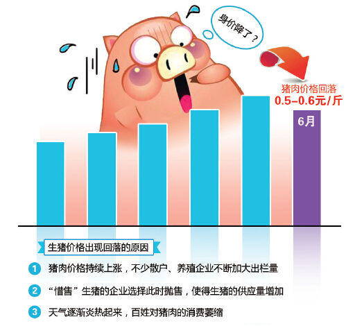 大連生豬價格最新動態(tài)，分析與展望