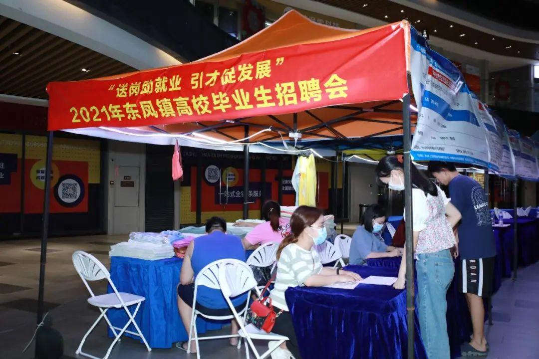 東鳳招聘最新消息全面解析與動(dòng)態(tài)更新