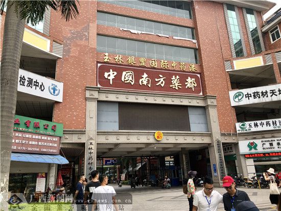 玉林盛東國際最新動(dòng)態(tài)與深度解析