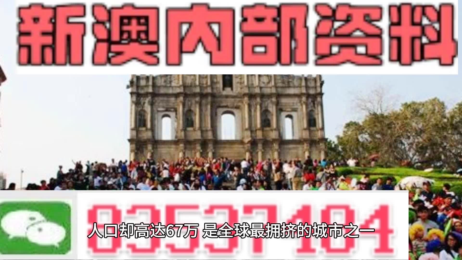 新澳門免費全年資料查詢,專業(yè)調查解析說明_入門版82.327