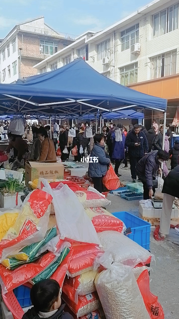 桃江趕集網(wǎng)最新動態(tài)，集市文化數(shù)字化融合繁榮的集市盛況