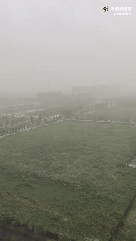尼伯特最新動(dòng)態(tài)，科技巨頭邁向未來新征程