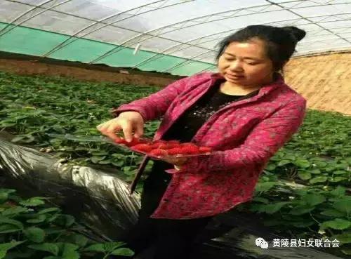 黃陵縣科技局人事任命最新動態(tài)
